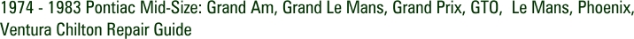 1974 - 1983 Pontiac Mid-Size: Grand Am, Grand Le Mans, Grand Prix, GTO, Le Mans, Phoenix, Ventura Chilton Repair Guide
